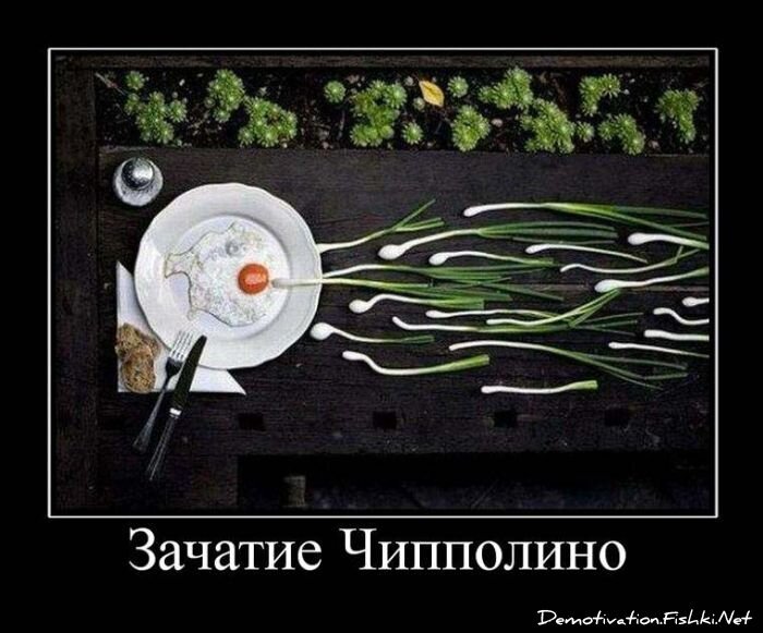 Смешной демотиватор от zubrilov за 03.08.2011 №84150