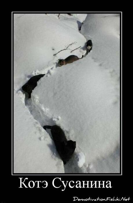 Смешной демотиватор от zubrilov за 03.08.2011 №84162