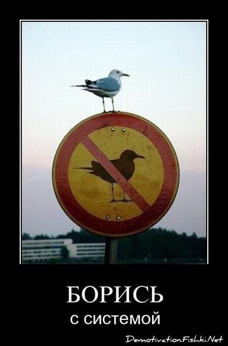 Смешной демотиватор от zubrilov за 03.08.2011 №84183