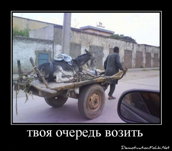 Смешной демотиватор от zubrilov за 03.08.2011 №84200