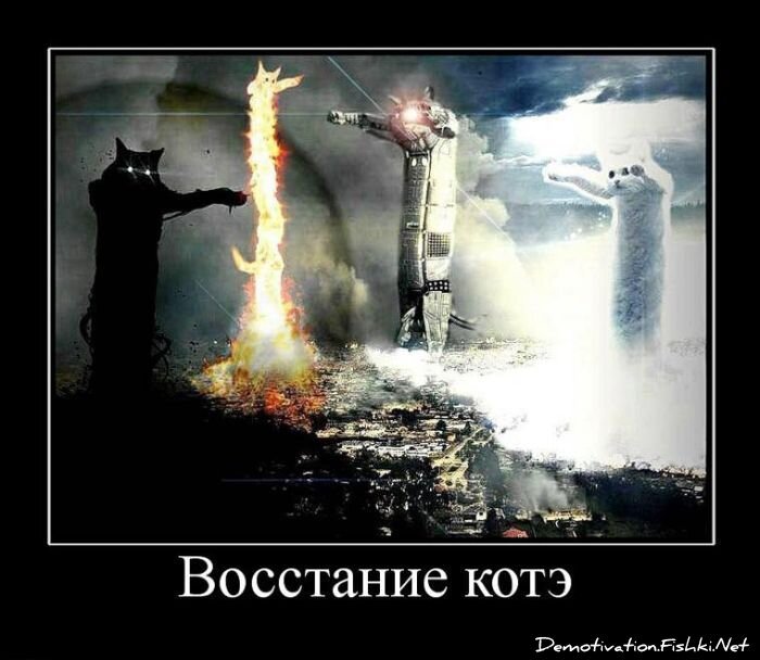 Смешной демотиватор от zubrilov за 03.08.2011 №84201