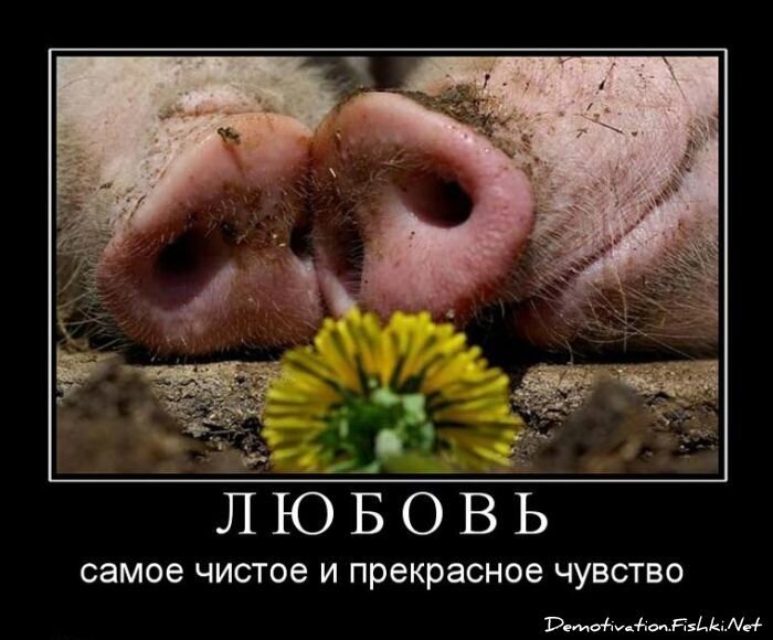 Смешной демотиватор от zubrilov за 03.08.2011 №84205