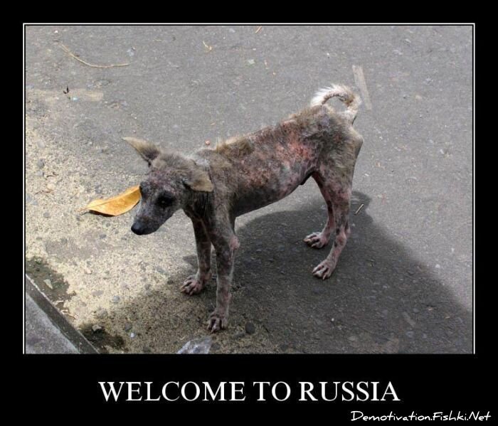 Смешной демотиватор от zubrilov за 03.08.2011 №84209