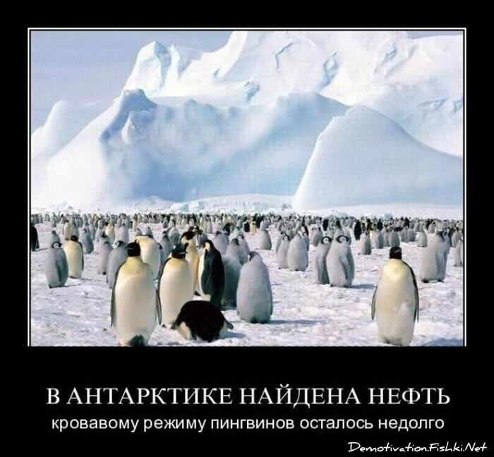 Смешной демотиватор от zubrilov за 03.08.2011 №84213