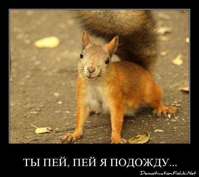 Смешной демотиватор от zubrilov за 05.08.2011 №84368