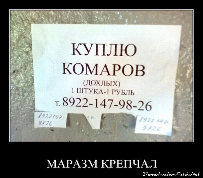 Смешной демотиватор от zubrilov за 05.08.2011 №84392