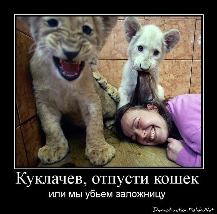 Смешной демотиватор от zubrilov за 10.08.2011 №84841