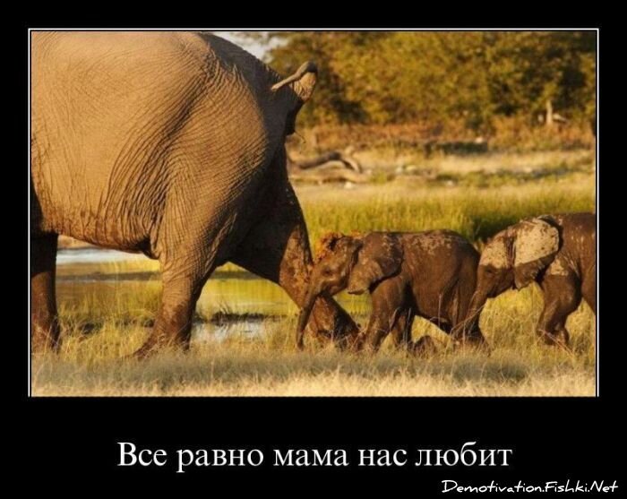 Демотиватор