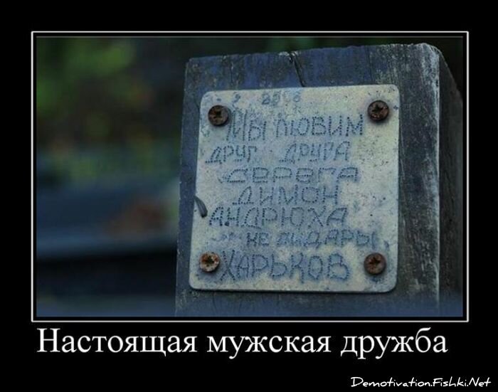 Демотиватор