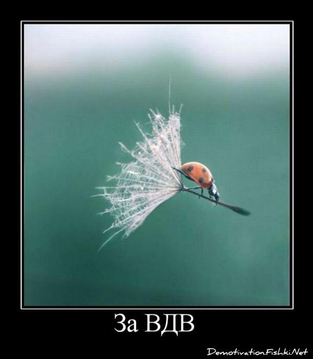 Смешной демотиватор от zubrilov за 10.08.2011 №84855
