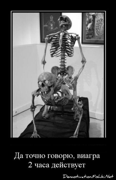Смешной демотиватор от zubrilov за 10.08.2011 №84866