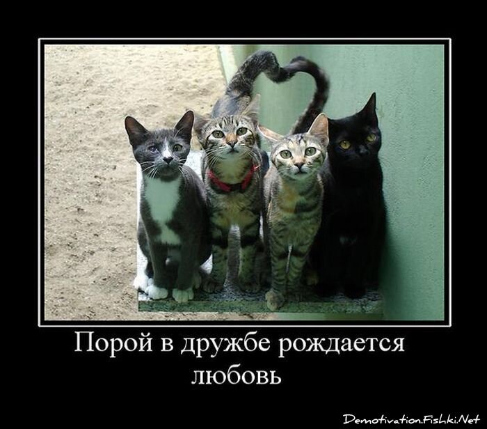 Смешной демотиватор от zubrilov за 10.08.2011 №84874