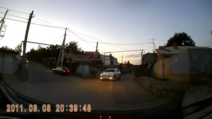 Видео дня