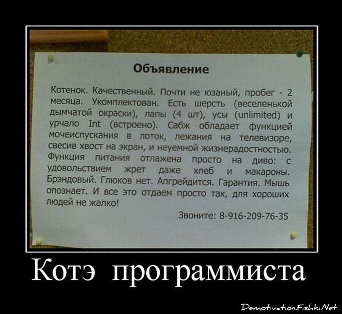 Смешной демотиватор от zubrilov за 12.08.2011 №85126