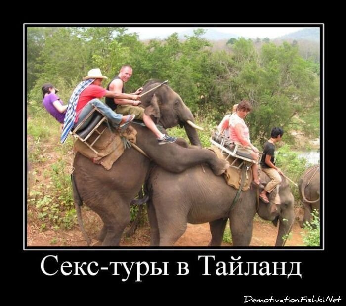 Смешной демотиватор от zubrilov за 12.08.2011 №85127