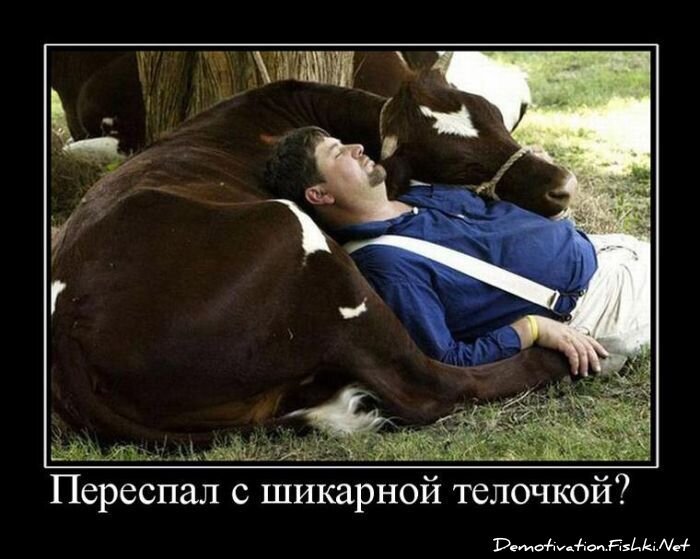 Смешной демотиватор от zubrilov за 12.08.2011 №85138