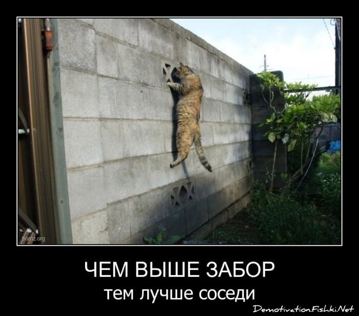 Смешной демотиватор от zubrilov за 12.08.2011 №85146