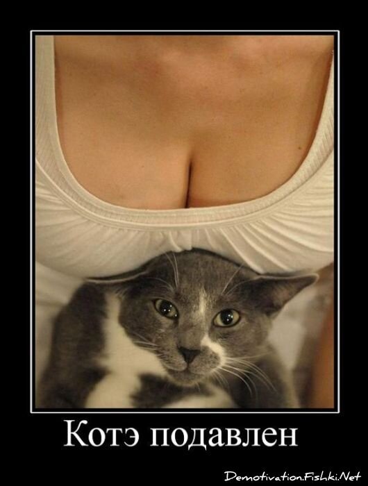 Демотиватор