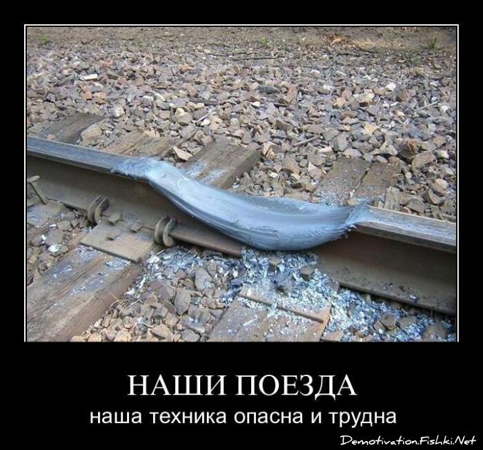 Смешной демотиватор от zubrilov за 12.08.2011 №85154