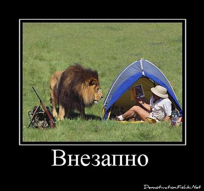 Смешной демотиватор от zubrilov за 12.08.2011 №85160