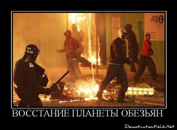 Смешной демотиватор от zubrilov за 12.08.2011 №85162