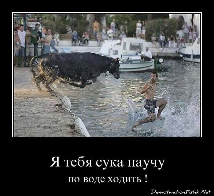 Смешной демотиватор от zubrilov за 12.08.2011 №85164