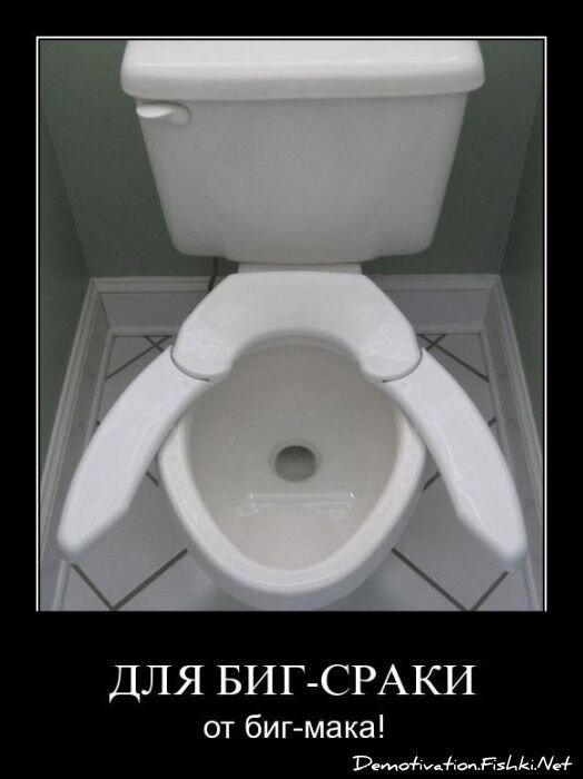 Смешной демотиватор от zubrilov за 12.08.2011 №85166