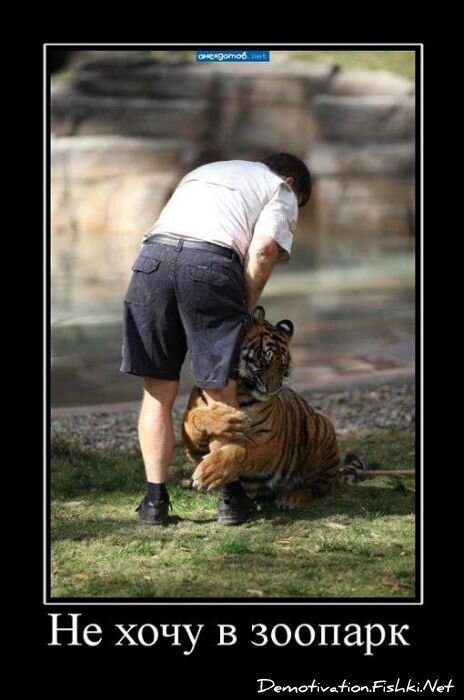 Смешной демотиватор от zubrilov за 17.08.2011 №85634
