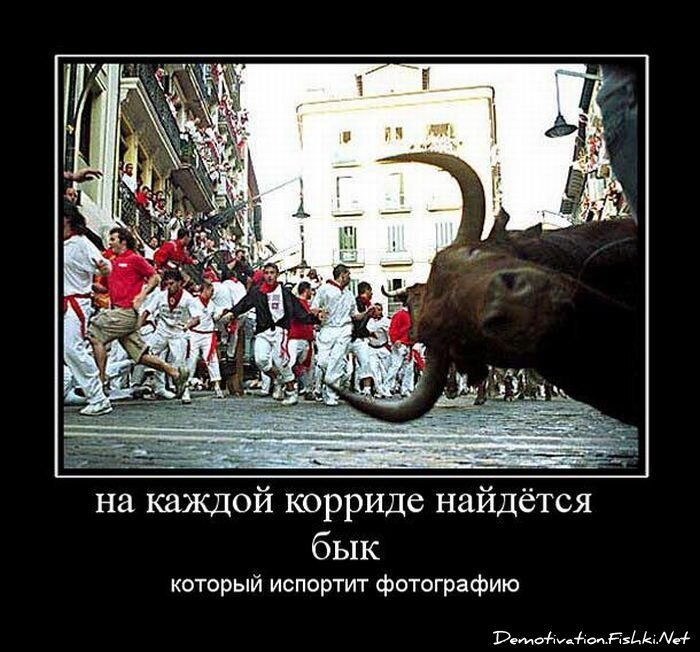 Демотиватор