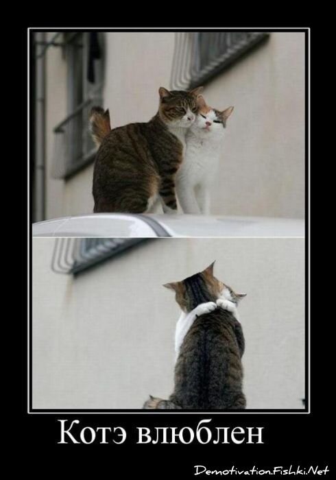 Демотиватор