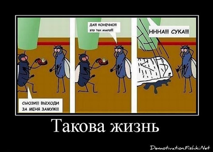 Смешной демотиватор от zubrilov за 17.08.2011 №85659