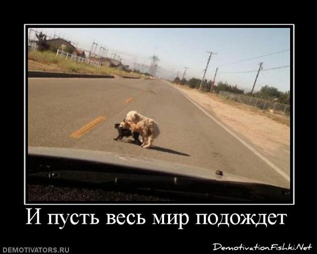 Демотиватор