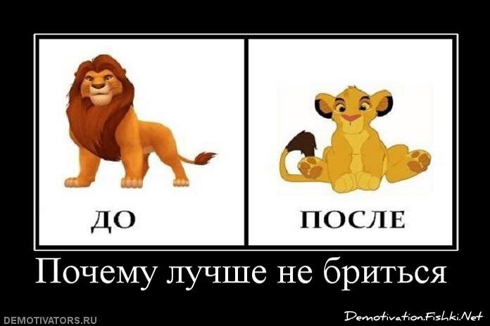 Демотиватор