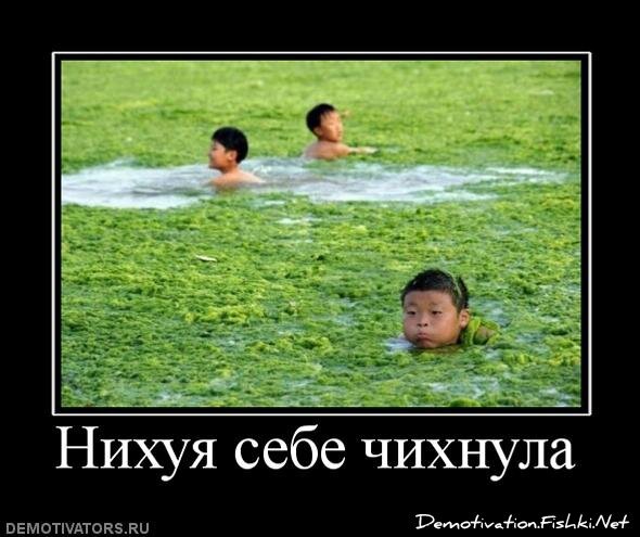 Смешной демотиватор от zubrilov за 17.08.2011 №85668