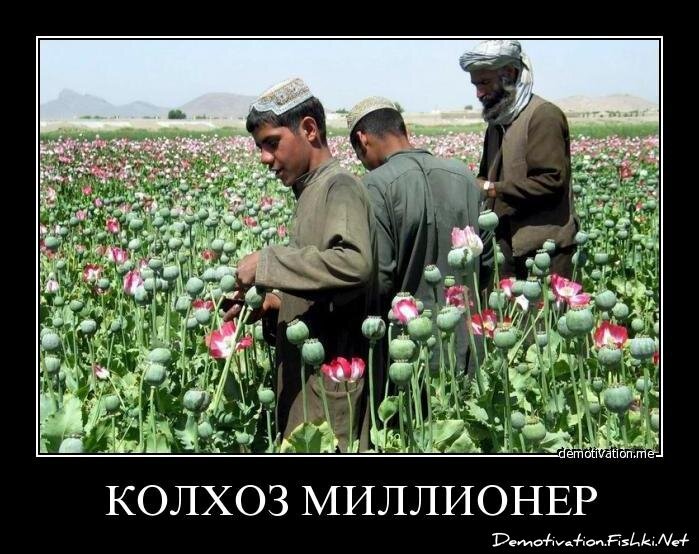 Демотиватор