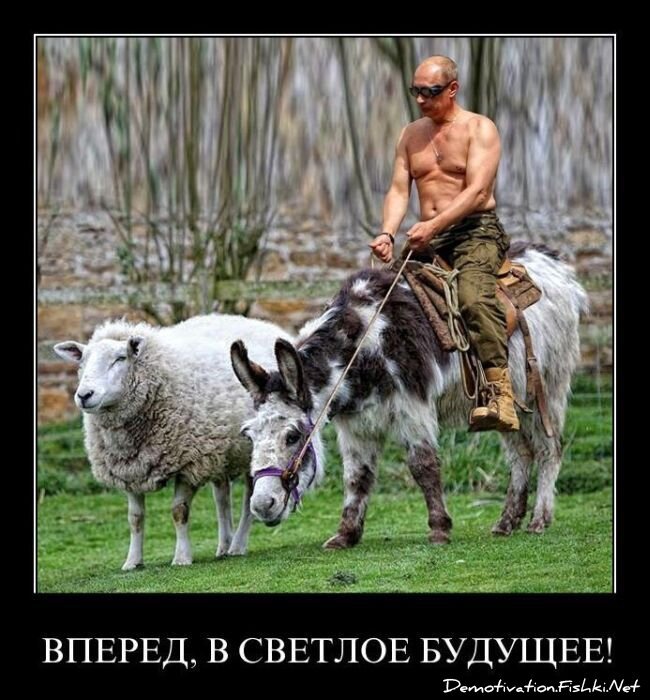 Смешной демотиватор от zubrilov за 19.08.2011 №85676