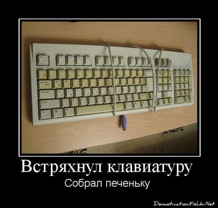 Смешной демотиватор от zubrilov за 19.08.2011 №85681