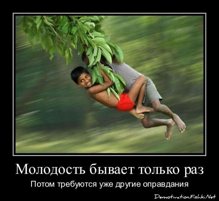 Демотиватор