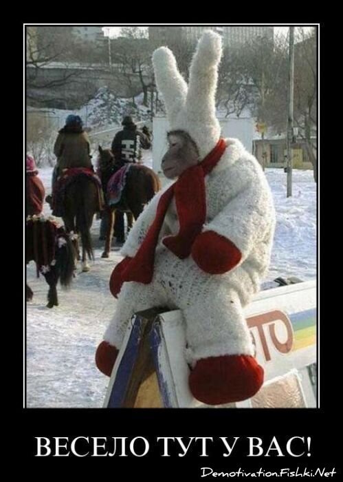 Демотиватор