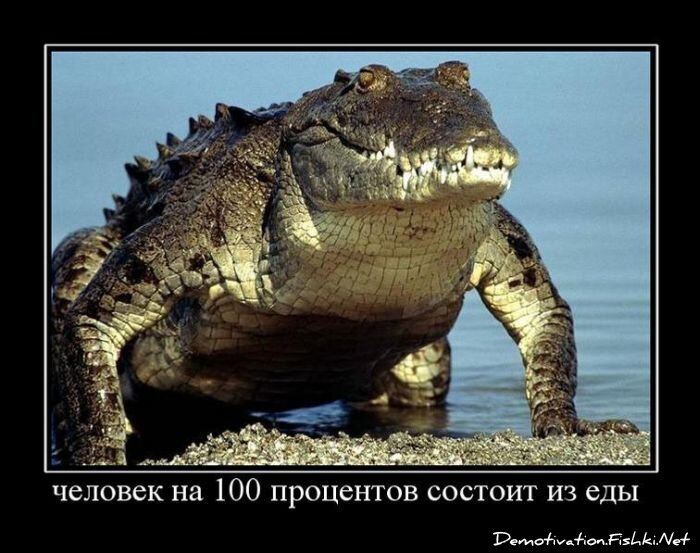 Смешной демотиватор от zubrilov за 19.08.2011 №85700