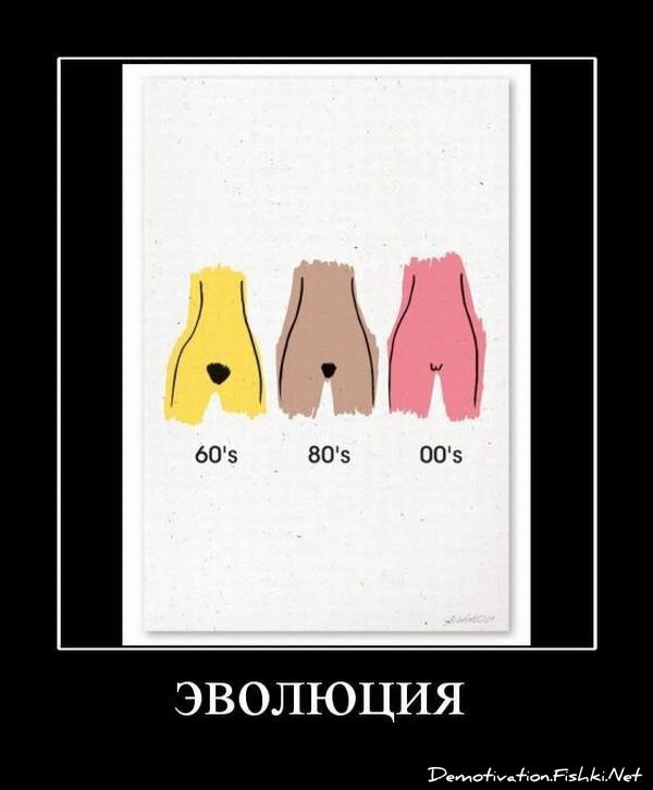 Демотиватор