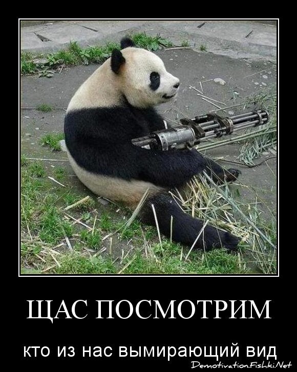 Щас посмотрим