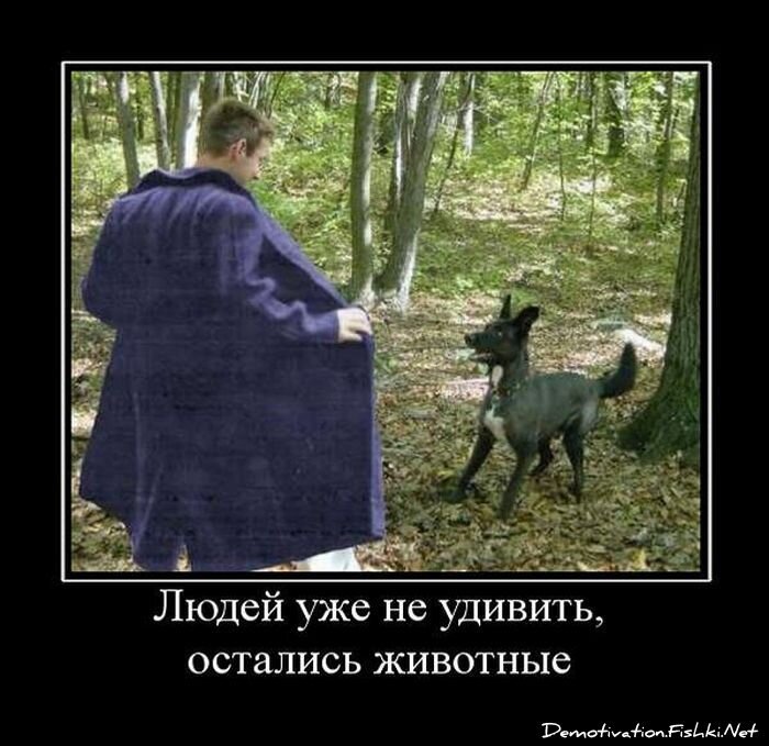 Демотиватор