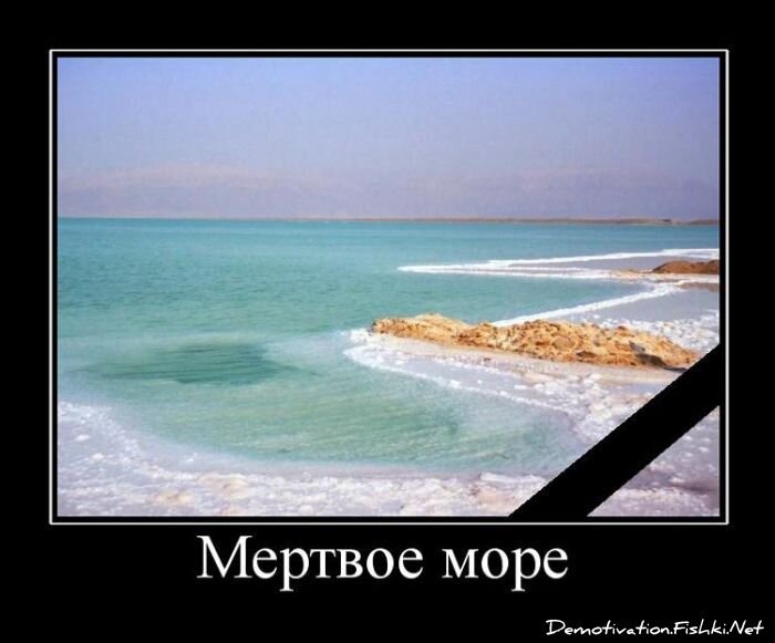 Смешной демотиватор от zubrilov за 31.08.2011 №86840