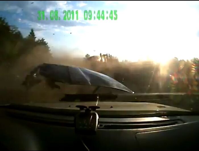 Видео дня