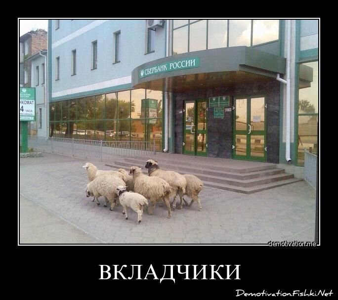 Демотиватор