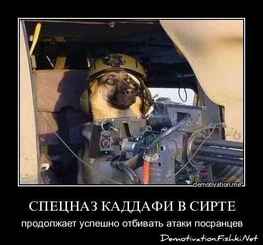 Демотиватор