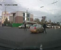 Подборка роликов