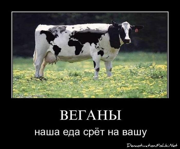 Демотиватор