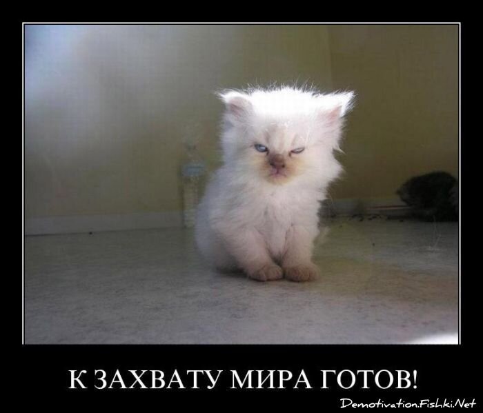 Демотиватор